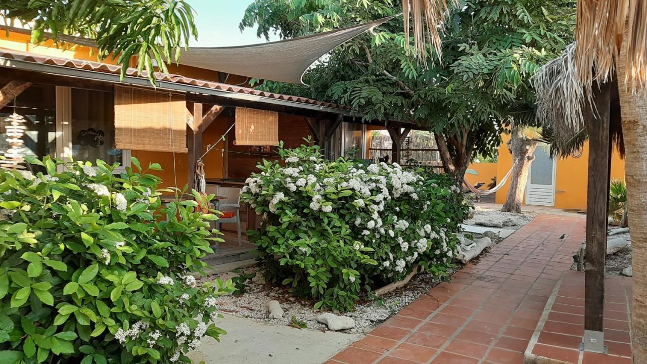 B&B Casa Trankilo Playa Exteriör bild